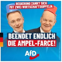 Quelle: Screenshot AfD Kompakt