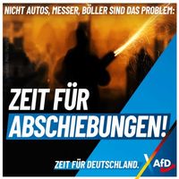 Quelle: Screenshot 2025-01-15 at 11-42-14 AfD Kompakt